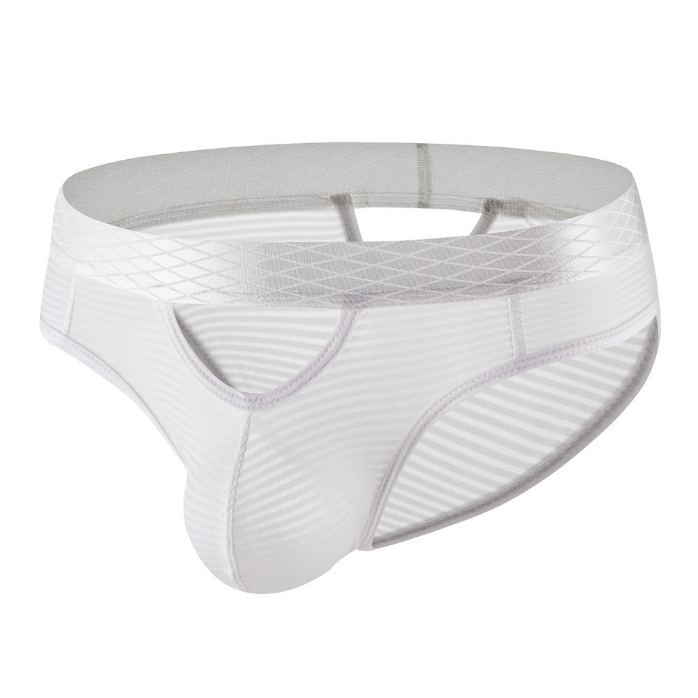 ZDStriped Sheer Briefs