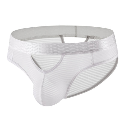 ZDStriped Sheer Briefs