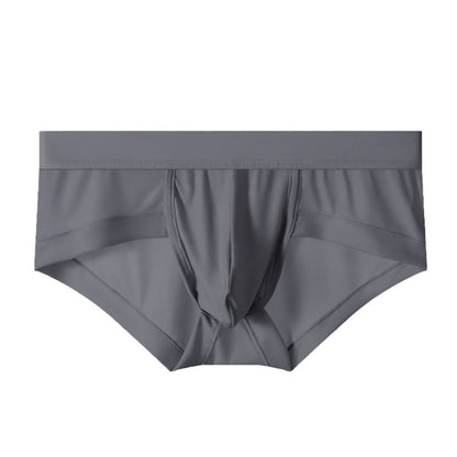 ZD Silky Low-Rise Briefs