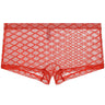 ZDDiamond Lace Soft Briefs