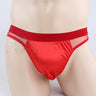 ZD Seductive Sheer Mesh Underwear