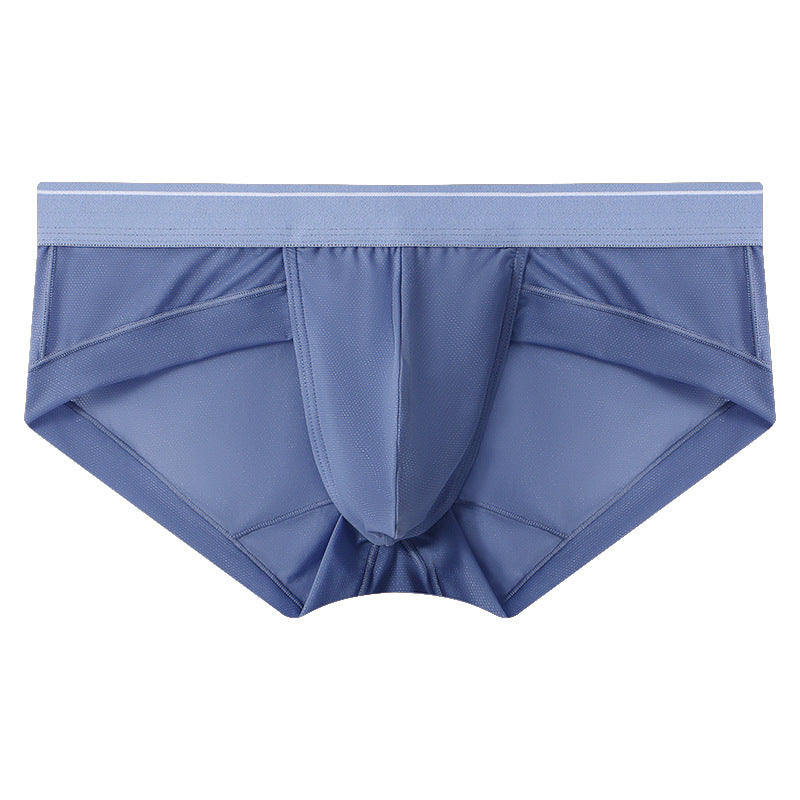 ZD  Sheer Comfort Briefs
