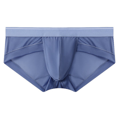 ZD  Sheer Comfort Briefs