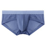 ZD  Sheer Comfort Briefs