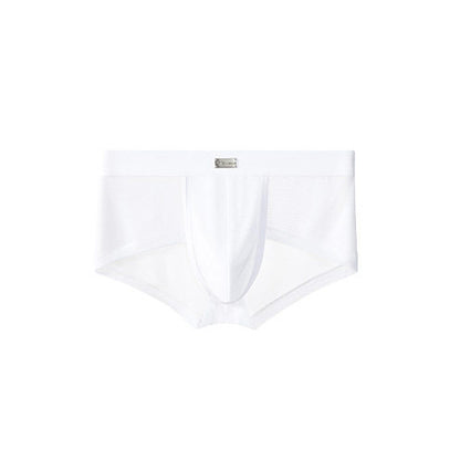 Double Side Sheer Mesh Minimal Low-Rise Briefs