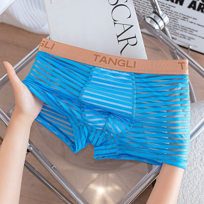 Horizontal & Vertical Stripe Sheer Mesh Embossed Letter Waist Boxer Briefs
