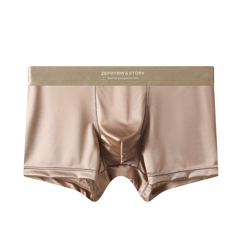 ZD  Ice Silk Premium Briefs