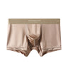 ZD  Ice Silk Premium Briefs