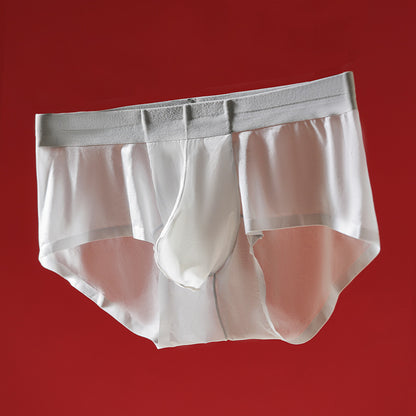 ZD Cloud-Soft Lace Briefs