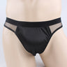 ZD Seductive Sheer Mesh Underwear