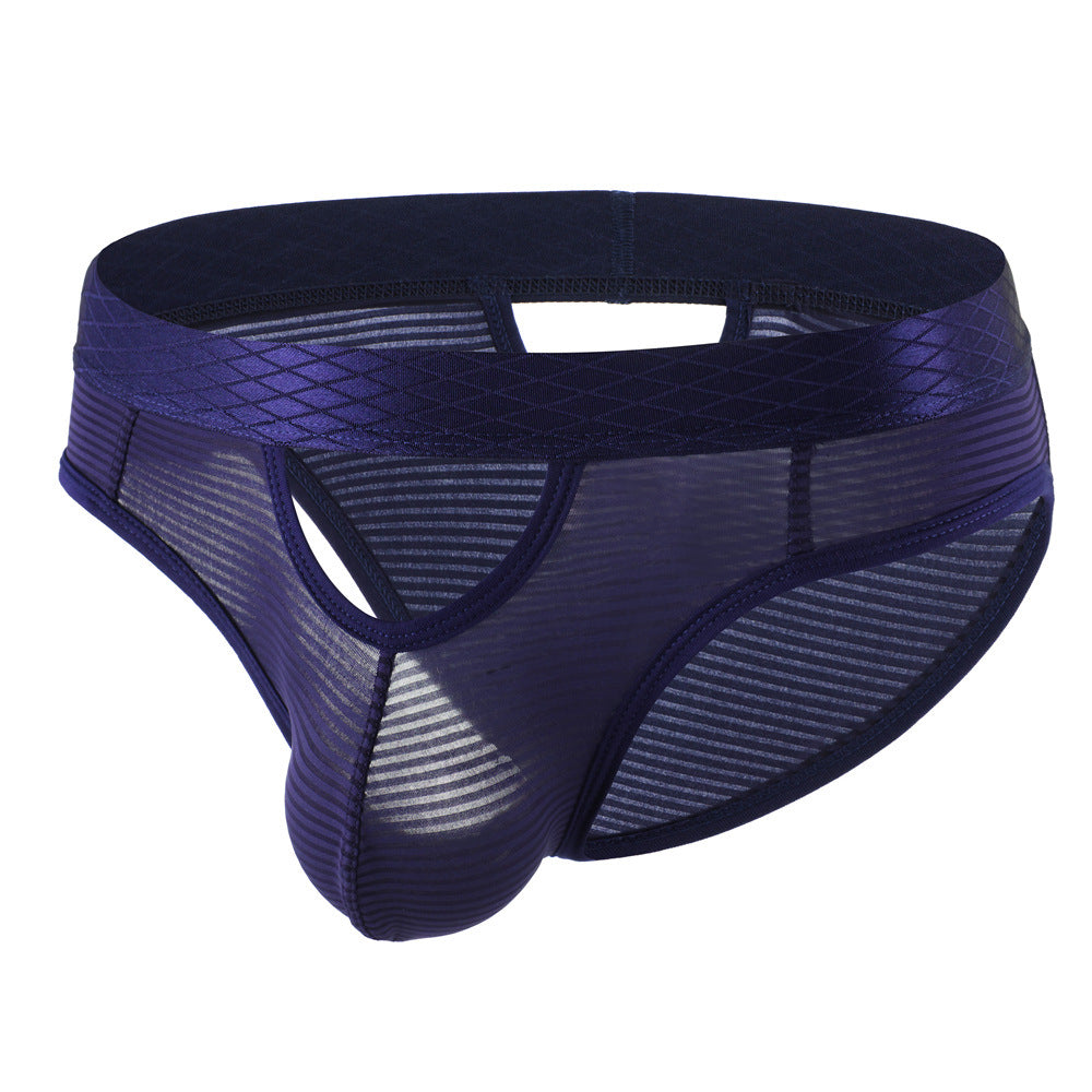 ZDStriped Sheer Briefs