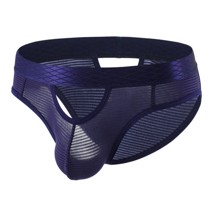 ZDStriped Sheer Briefs