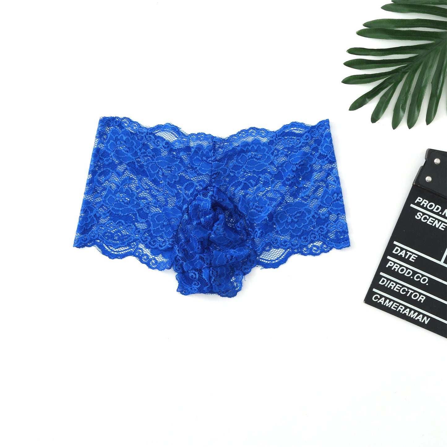 ZD Sheer Mesh Boxer Briefs