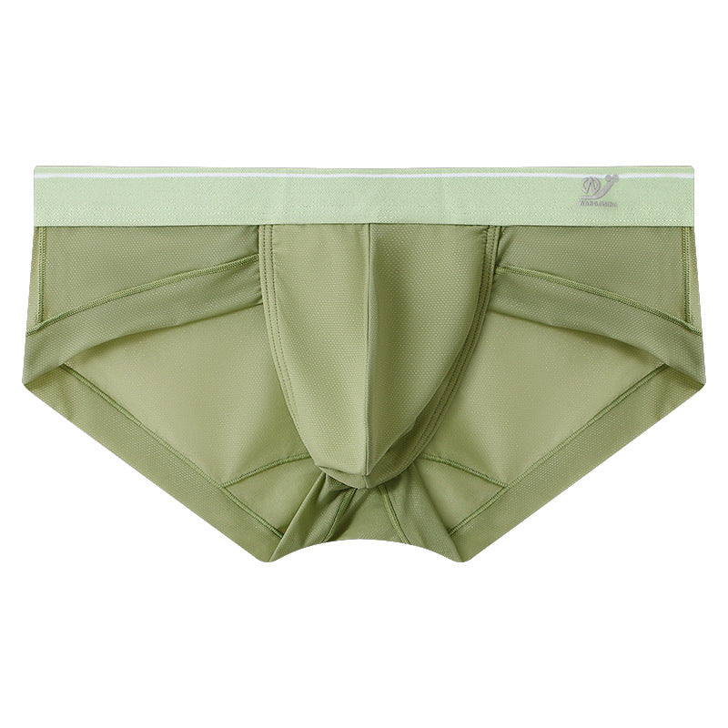ZD  Sheer Comfort Briefs