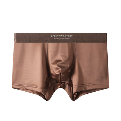ZD  Ice Silk Premium Briefs