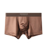 ZD  Ice Silk Premium Briefs