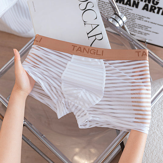 Horizontal & Vertical Stripe Sheer Mesh Embossed Letter Waist Boxer Briefs
