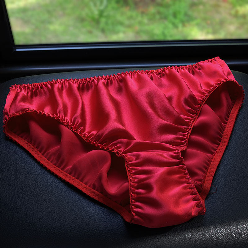 ZD Cloud Silk Briefs