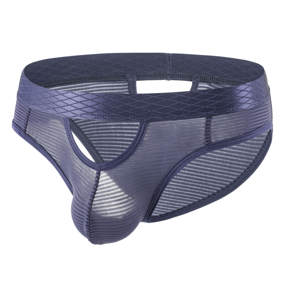 ZDStriped Sheer Briefs