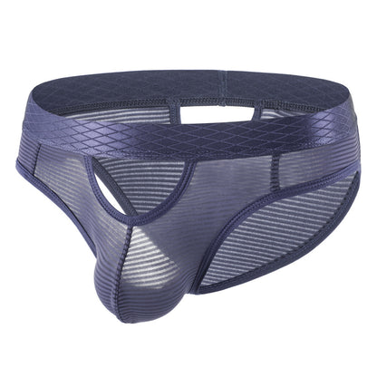 ZDStriped Sheer Briefs