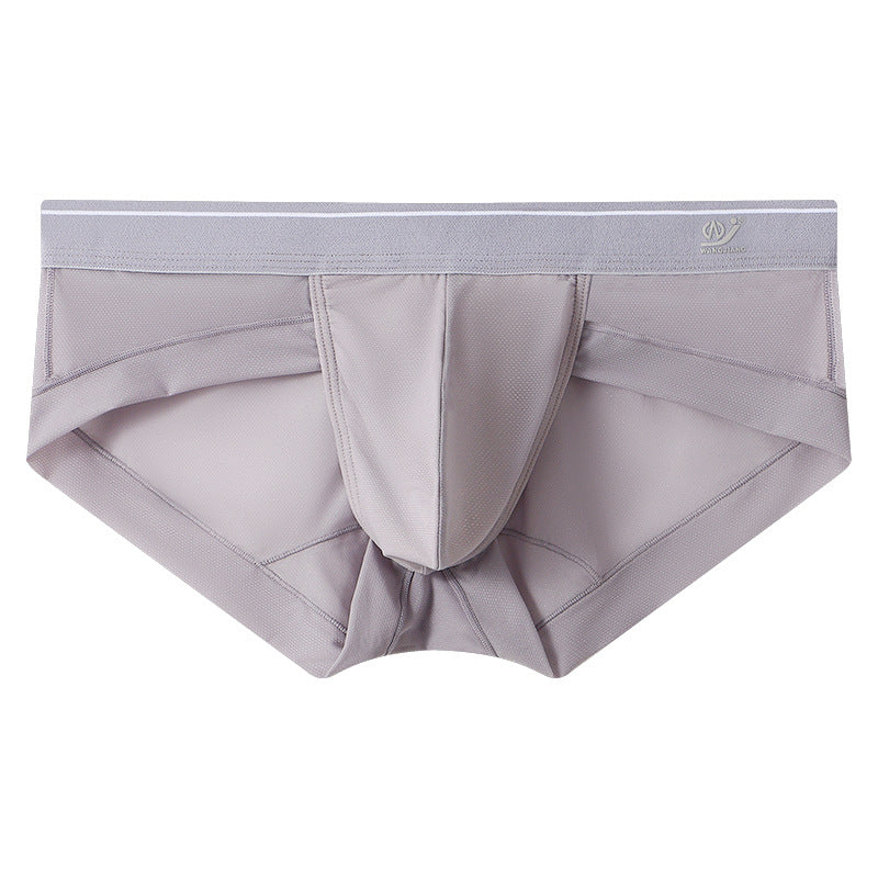 ZD  Sheer Comfort Briefs