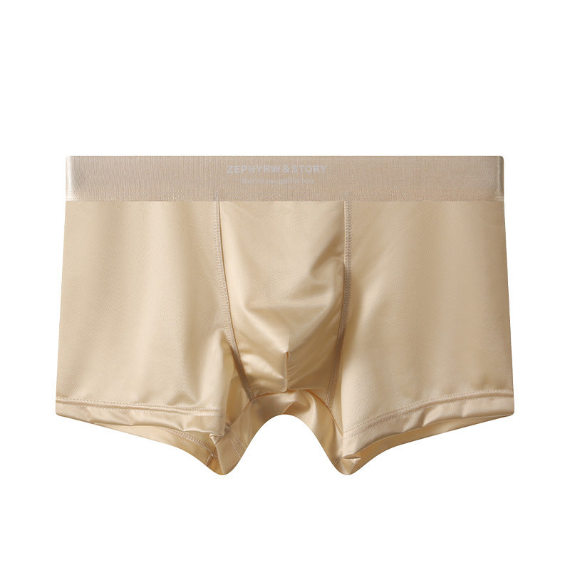 ZD  Ice Silk Premium Briefs