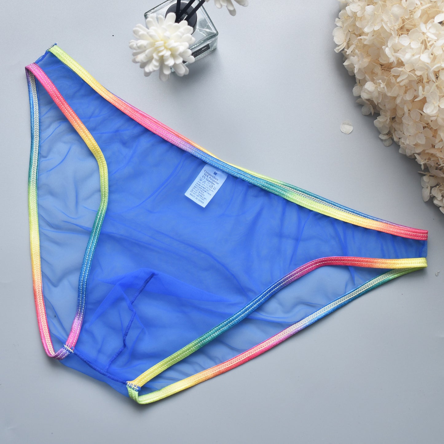 Rainbow Edge Mesh Briefs