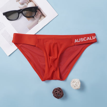 ZD【New Arrival】Ultra Thin Mesh Branded Underwear Show Your Charm