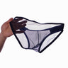 ZD  Full Sheer Mesh Briefs