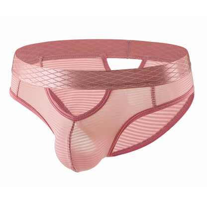 ZDStriped Sheer Briefs