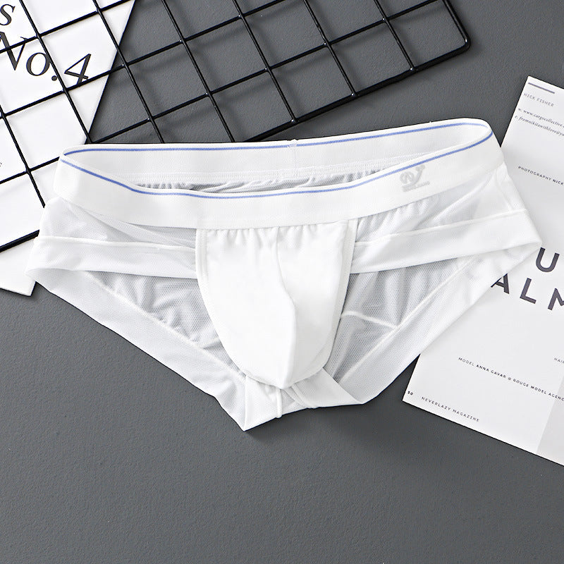 ZD  Sheer Comfort Briefs