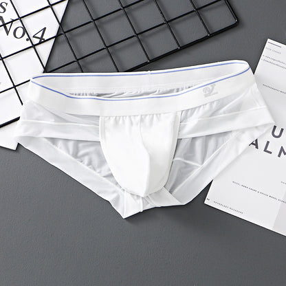 ZD  Sheer Comfort Briefs