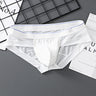 ZD  Sheer Comfort Briefs