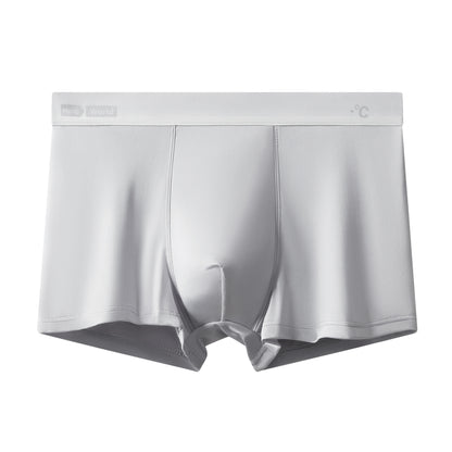 ZD Ice-Cool Boxer Briefs