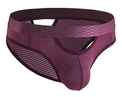 ZDStriped Sheer Briefs