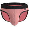 ZDBlack-Trim Pure Cotton Briefs