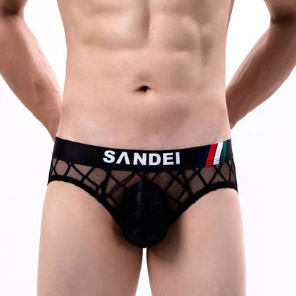 ZD Lace Mesh Sexy Briefs