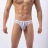 ZD Vertical Stripe Sheer Briefs