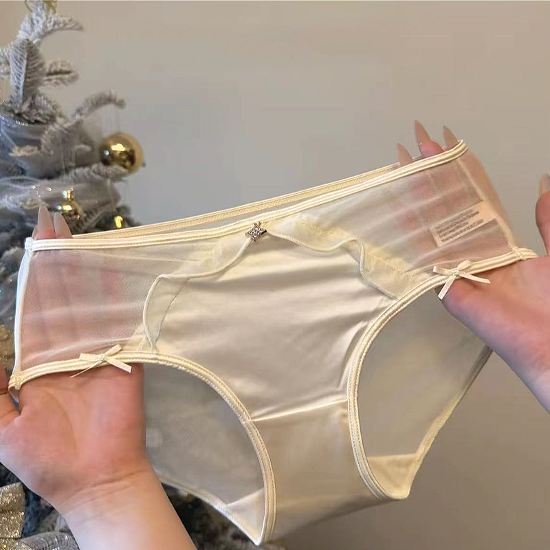 SZ Women Satin Mesh Briefs