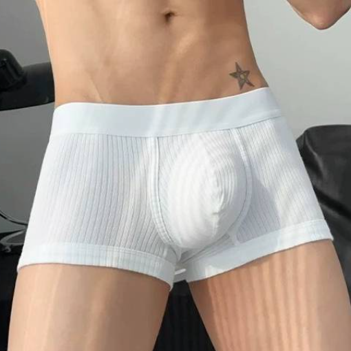 QS Ribbed Cotton Breathable Boxer Shorts