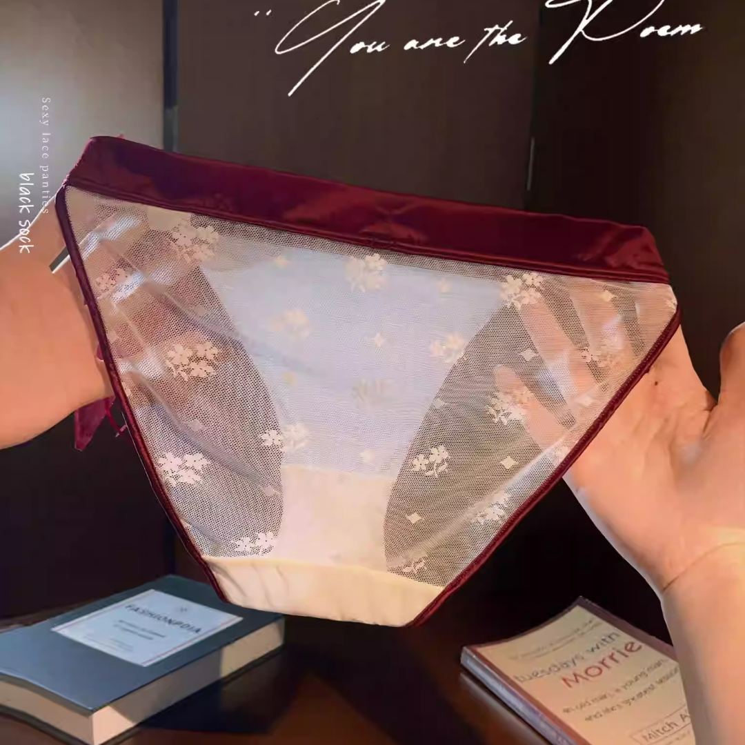 QS Bow Mesh Satin Panties (4 Packs)