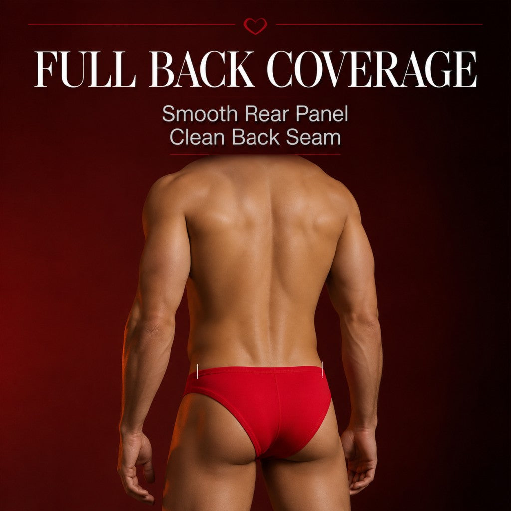 Front Mesh Sheer Stretch Low Rise Men's Briefs