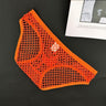 Fishnet Briefs