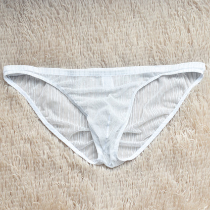 ZD Vertical Texture Sheer Briefs