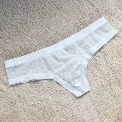 ZDStriped Texture Sheer Briefs
