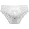 ZD Textured Lace See-Thru Briefs