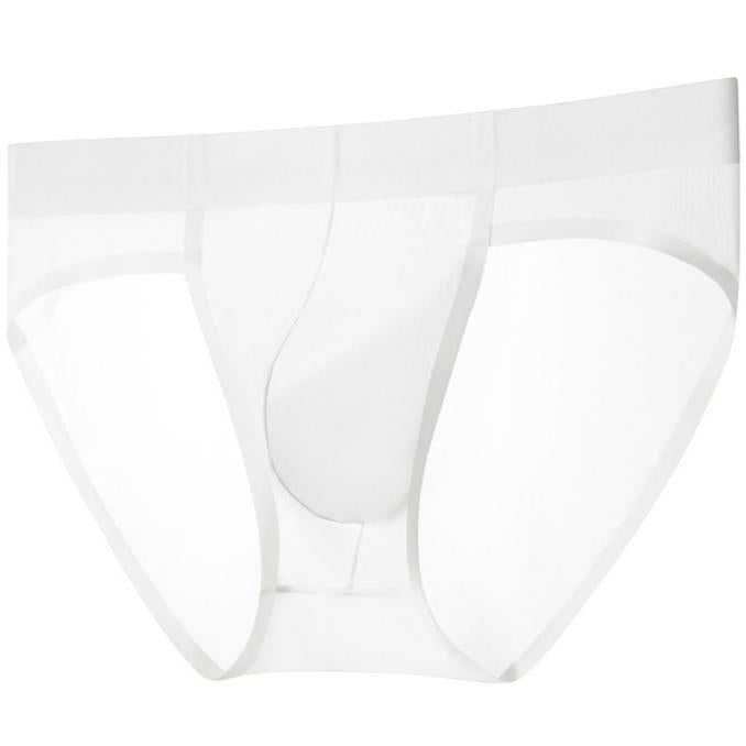 ZD Versatile Designer‑Style See‑Through Briefs