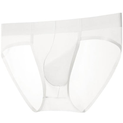 ZD Versatile Designer‑Style See‑Through Briefs