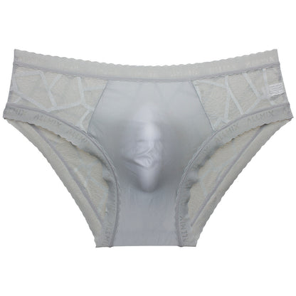 ZD Textured Lace See-Thru Briefs