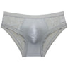 ZD Textured Lace See-Thru Briefs